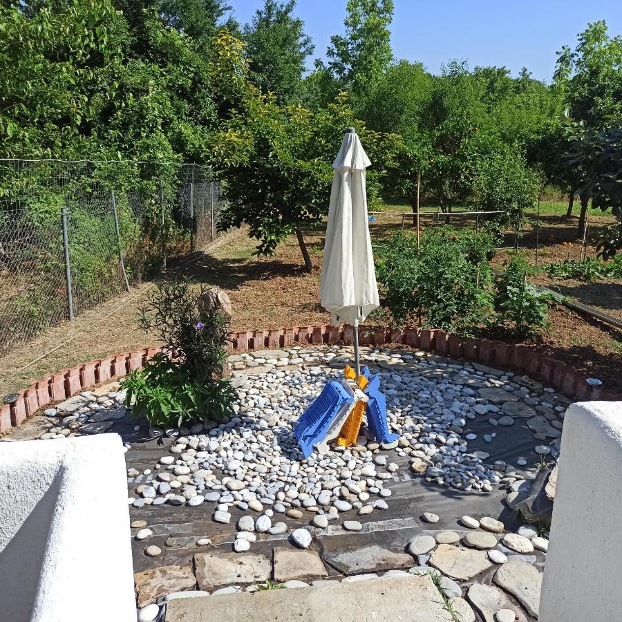 Εξοχική Κατοικία - Cottage Τίνα Líri エクステリア 写真