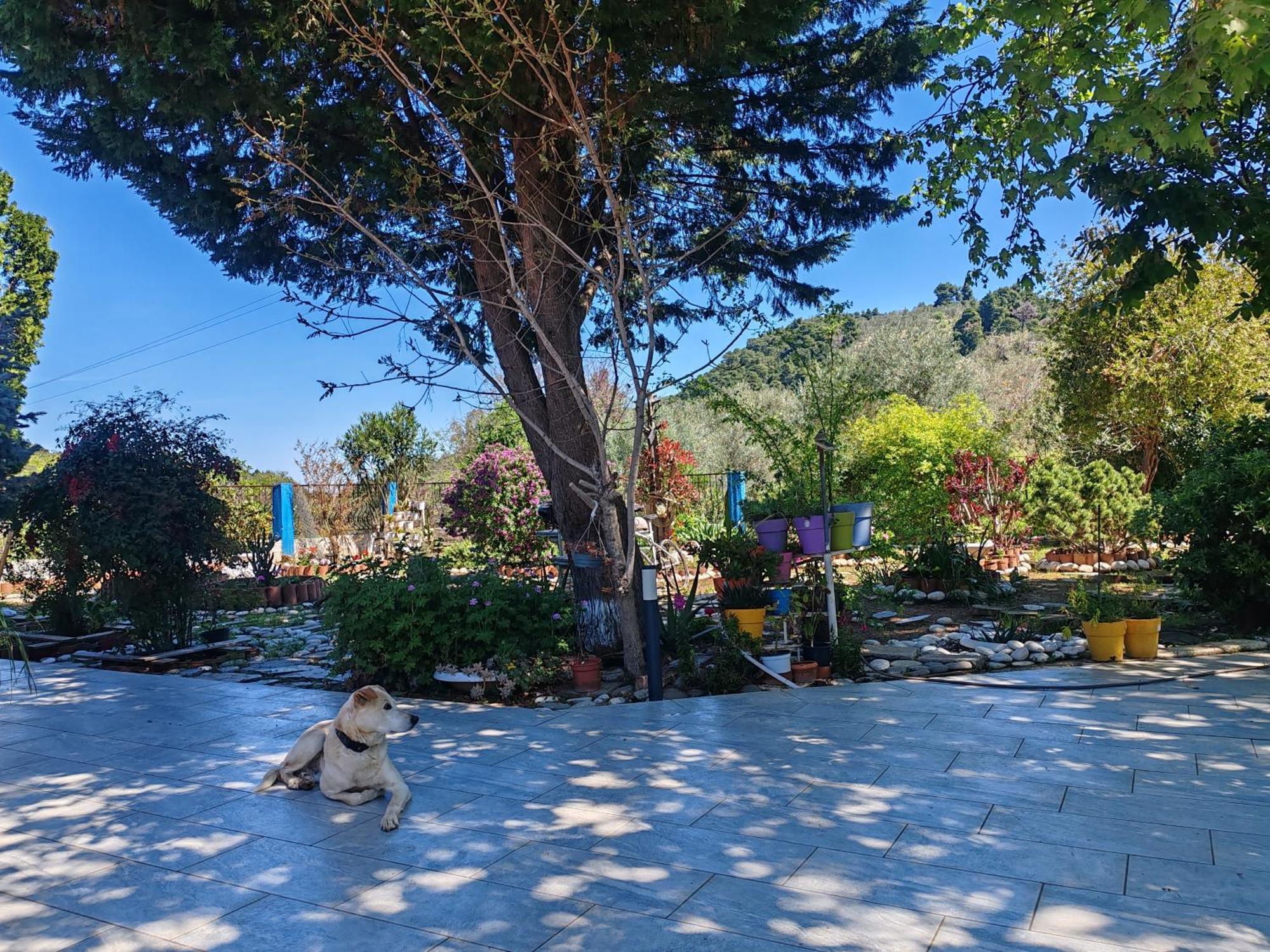 Εξοχική Κατοικία - Cottage Τίνα Líri エクステリア 写真